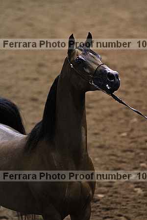 Proof 10r12_4036