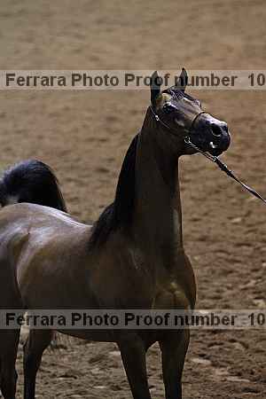 Proof 10r12_4037