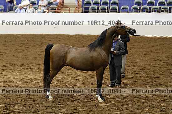 Proof 10r12_4041