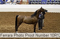 10r12_4041 proof