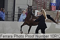 10r12_4044 proof