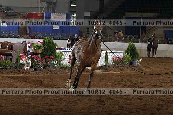Proof 10r12_4045