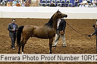 10r12_4051 proof