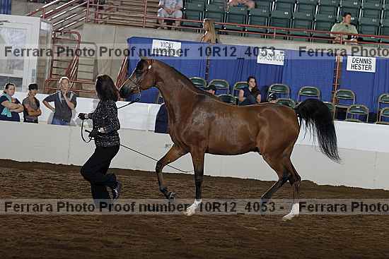 Proof 10r12_4053