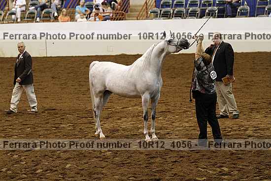 Proof 10r12_4056