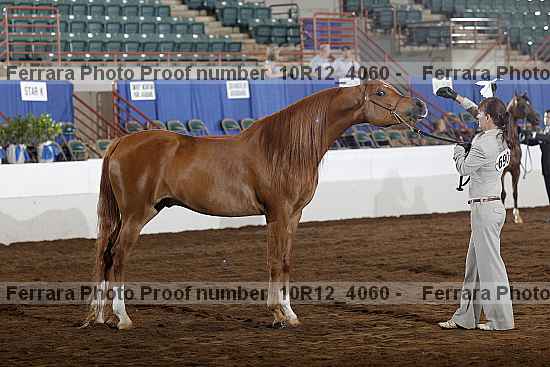 Proof 10r12_4060