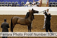 10r12_4062 proof