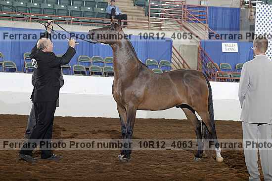 Proof 10r12_4063