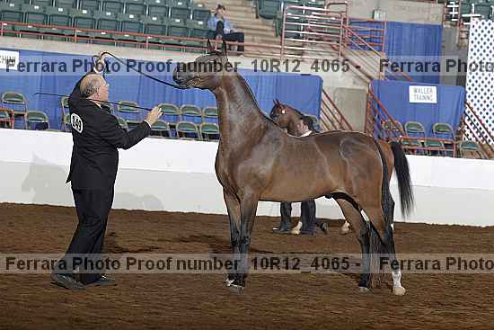 Proof 10r12_4065