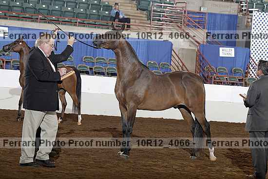 Proof 10r12_4066
