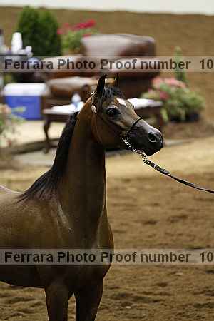 Proof 10r12_4067