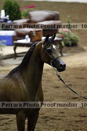 Proof 10r12_4068