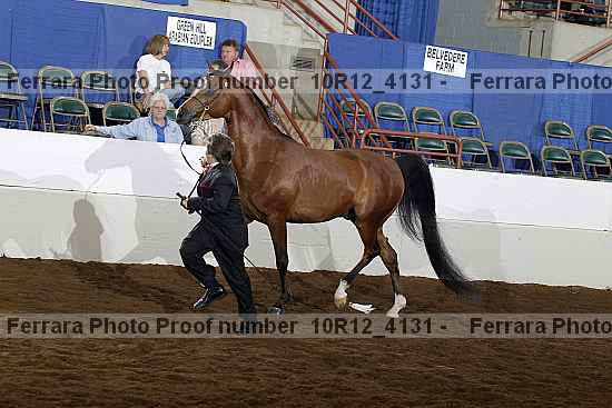 Proof 10r12_4131