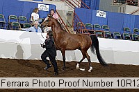 10r12_4131 proof