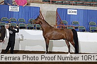 10r12_4133 proof