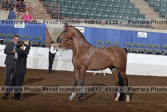 Proof 10r12_4134