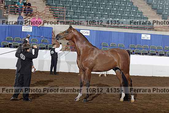Proof 10r12_4135