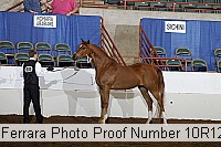 10r12_4137 proof