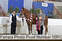 10r12_4143 proof