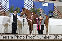 10r12_4144 proof