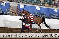 10r12_4152 proof