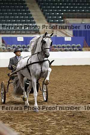 Proof 10r12_4162