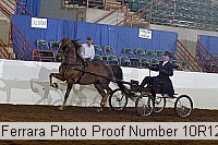10r12_4166 proof