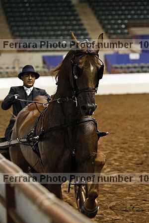 Proof 10r12_4169