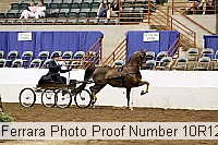 10r12_4171 proof