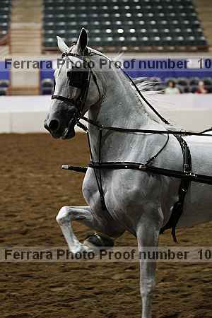 Proof 10r12_4173