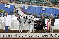 10r12_4174 proof