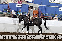 10r12_4190 proof