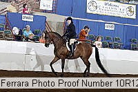 10r12_4193 proof
