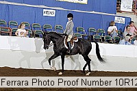 10r12_4196 proof