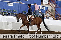 10r12_4198 proof