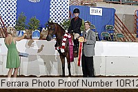 10r12_4199 proof
