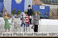 10r12_4203 proof