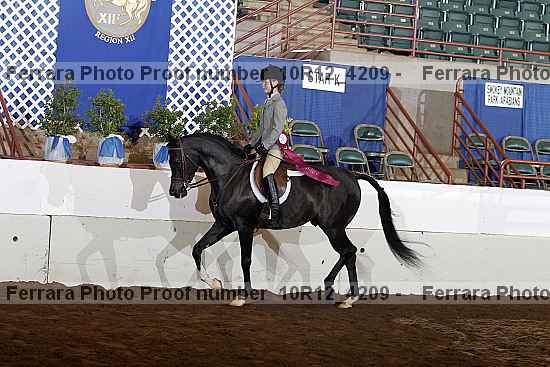Proof 10r12_4209