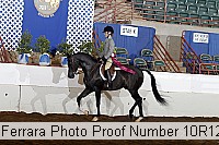 10r12_4209 proof