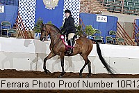 10r12_4216 proof