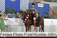 10r12_4240 proof
