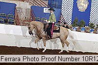 10r12_4245 proof