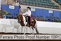 10r12_4247 proof