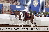 10r12_4248 proof