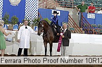 10r12_4271 proof