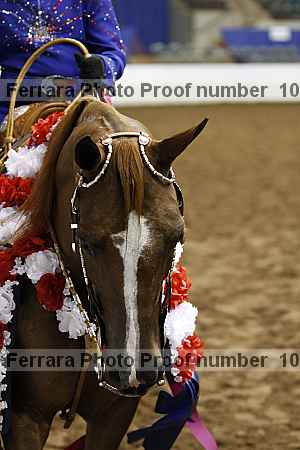 Proof 10r12_4295