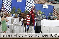 10r12_4301 proof