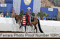 10r12_4307 proof