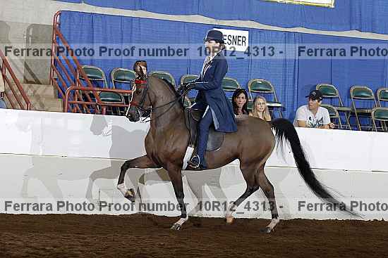 Proof 10r12_4313