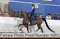 10r12_4313 proof